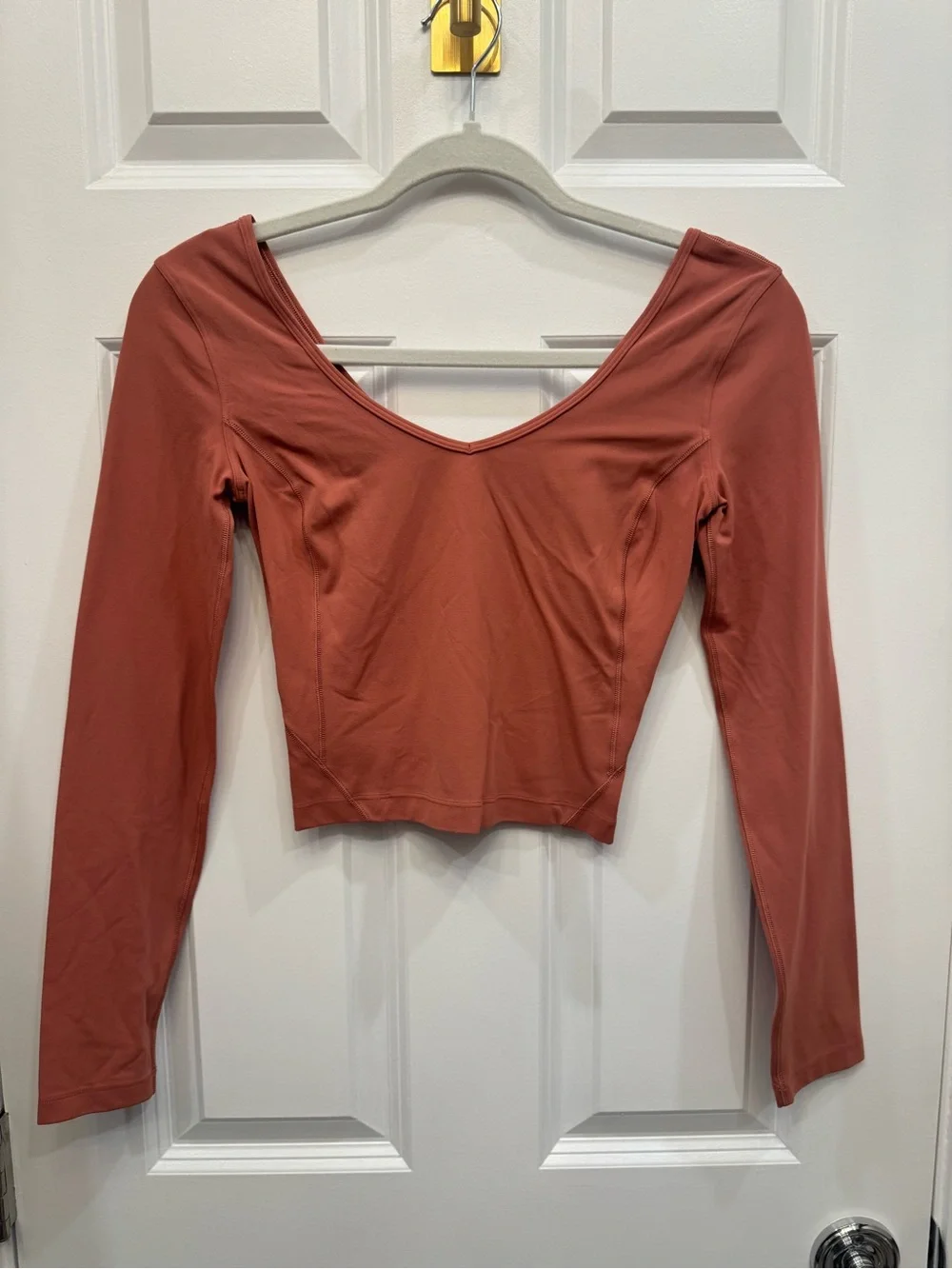 Lululemon Align Long Sleeve Short Brier Rose